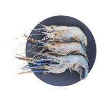 ราคา กุ้งนางกลาง 1 กก. (930230293304698)
