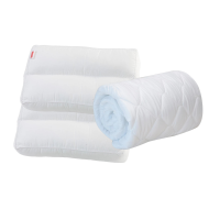 ราคา [แพ็คคู่] Slumberland หมอนหนุนเพื่อสุขภาพพร้อมไส้รีฟิล (106pmd) 2 ใบ กับ ผ้ารองกันเปื้อนแบบยางยืด (107pmb) 1 ผืน ขนาด 3.5 ฟุต (623649644312829)