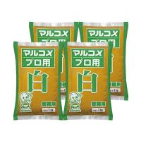 ราคา มารุโกเมะ เต้าเจี้ยวบด ชิโระ มิโซะ สูตรถั่วเหลือง ข้าว และเกลือ (ผลิตในประเทศญี่ปุ่น) ขนาด 1 กิโลกรัม x 4 ถุง (7591429931203)