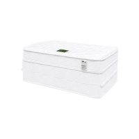 ราคา Kawa ที่นอนยางพารา 3ท่อน Mitsuori ที่นอน Chic Fold Topper ท็อปเปอร์ยางพารา topper foldable mattress หนา 4นิ้ว รุ่น Mitsuori Cool Gel ขนาด 3.5 ฟุต (141560226758378)