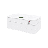 ราคา Kawa ที่นอนยางพารา 3ท่อน Mitsuori ที่นอน Chic Fold Topper ท็อปเปอร์ยางพารา topper foldable mattress หนา 4นิ้ว รุ่น Mitsuori Regular ขนาด 5 ฟุต (294242110021143)