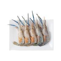 ราคา กุ้งนางใหญ่ กก.ละ (972437534242304)