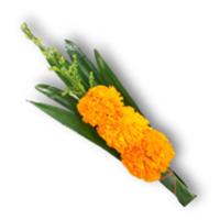 ราคา ดอกดาวเรืองสดกำเตย (877877434241758)