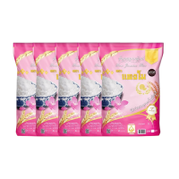 ราคา ข้าวสาร ตราแตงโม ข้าวหอมมะลิแท้ ขนาด 5 กก. (แพ็ค 5 ถุง) (817842455001516)