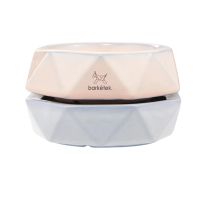 ราคา Barketek - ชามอาหารสัตว์เลี้ยงกันมด ชามเซรามิคกันมดรุ่น Geowl รางวัล Demark และ Gmark Pink (922824198080264)