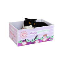 ราคา Kafbo Cat box - กล่องมังคุด กล่องลังแมว บ้านแมว ที่ลับเล็บแมว ที่ฝนเล็บแมว (930272782019612)