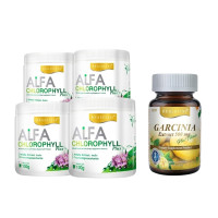 ราคา Alfa Chlorophyll Plus 4 กระปุก Garcinia 1 กระปุก (30เม็ด) (286155535720304)