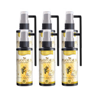 ราคา Propolis Fresh Spray สเปรย์พ่นช่องปาก ขนาด 30 ml (มีกล่อง+ก้าน) เซ็ท 6 ขวด (568821374851580)
