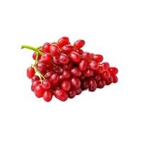 ราคา องุ่นแดงไร้เมล็ดจีน 1 กก. (534448728046819)
