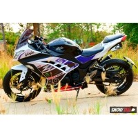 ราคา ขาย Kawasaki Ninja 300 ABS(25280) (มอเตอร์ไซค์มือสอง)