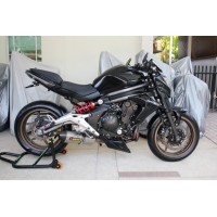 ราคา ขาย Kawasaki ER-6n ABS(4470) (มอเตอร์ไซค์มือสอง)