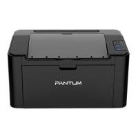 ราคา Printer Pantum Mono Laser P2500