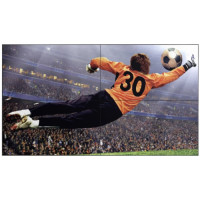 ราคา Monitor LG Interactive (49VL5G-M)