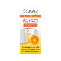 ราคา สกาแคร์เพอร์เฟ็คท์เดย์ครีมSPF50 15ก. SCACARE (26981823)