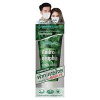 ราคา เดนทิสเต้ยาสีฟันฟ้าทะลายโจร 40 กรัม DENTISTE (51488329)