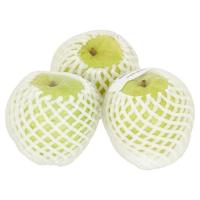 ราคา ฝรั่งพันธุ์กิมจู กก.ละ (14479664)