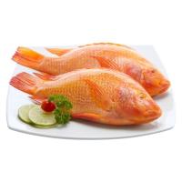 ราคา ปลาทับทิม M ตัวละ (22491880)