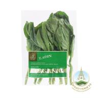 ราคา โครงการหลวง คะน้าฮ่องกง แพ็ค RPF (21723311)