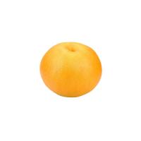 ราคา โลตัส สาลี่หิมะจักรพรรดิ์ ลูกละ LOTUSS (27030482)