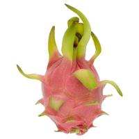 ราคา แก้วมังกร กก.ละ (4134559)