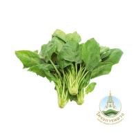 โครงการหลวง ป๋วยเหล็ง แพ็ค 200กรัม (Royal Project Spinach 200g Pack)