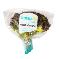 ราคา โลตัส เรดคอรัล แพ็คละ LOTUSS (12228885)