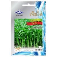 ราคา เมล็ดพันธุ์ผัก&nbsp;ผักบุ้ง (70282633)