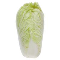 ราคา โครงการหลวง ผักกาดขาวปลี กก.ละ RPF (18630685)