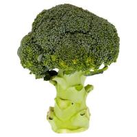 ราคา บร็อคโคลีนอก กก.ละ (9620729)