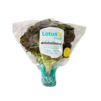 ราคา โลตัส เรดโอ๊ค 200 กรัม แพ็คละ LOTUSS (12228893)