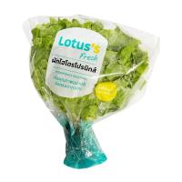ราคา โลตัส กรีนโอ๊ค 200 กรัม แพ็คละ LOTUSS (12228869)