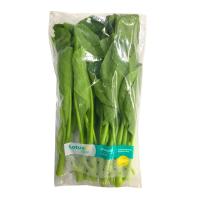 ราคา เทสโก้ ยอดคะน้า 1 แพ็ค (Tesco Yong Kale 1 Pack)