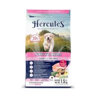 ราคา เฮอร์คิวลิส ลูกสุนัข 1.5 กก. HERCULES (52587798)
