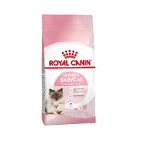 ราคา โรยัลคานิน แมวท้อง+ลูกแมว 4 เดือน 1.2 กก ROYAL CANIN (52536076)