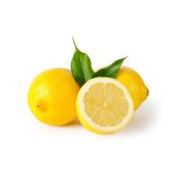 ราคา โลตัส เลมอน ลูกละ LOTUSS (72966807)