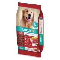 ราคา โลตัส อาหารสุนัขโต รสเนื้อ 10กก. LOTUSS (51256420)