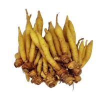 ราคา กระชาย กก.ละ (20685564)