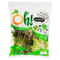 ราคา โอ้ เวจจี้ ผักสลัด กรีนโอ๊ค เรดโอ๊ค แพ็ค OH VEGGIE (75302411)