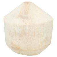 ราคา โลตัส มะพร้าวน้ำหอมคัดพิเศษ ลูกละ LOTUSS (75310430)