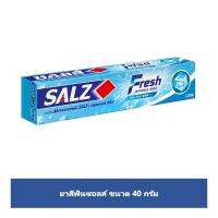 ซอลส์ เฟรช ยาสีฟัน 40กรัม (Salz Fresh Toothpaste 40g)