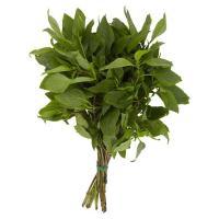 ราคา ใบโหระพา กก.ละ (26665425)