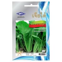 ราคา เมล็ดพันธุ์ผัก กวางตุ้ง (70282773)