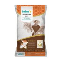 ราคา โลตัสข้าวขาวหอมมะลิสุรินทร์ 5กก LOTUSS (74740431)