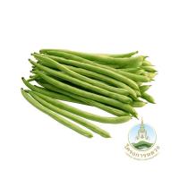 โครงการหลวง ถั่วแขก แพ็ค 200กรัม (Royal Project String Bean 200g Pack)