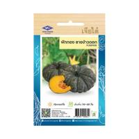 ราคา เมล็ดพันธุ์ผัก ฟักทอง (70716315)