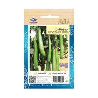 ราคา เมล็ดพันธุ์ผัก มะเขือยาว (70716307)