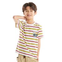 ราคา เสื้อแขนสั้นลายริ้ว เขียว 5 ปี ME STYLE (75540711)