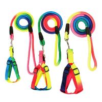 ราคา ซีซีเพ็ท ชุดสายจูง+รัดอกสายรุ่ง HX1604 CCPETS (52684873)