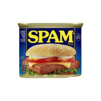 ราคา สแปม เนื้อหมูบดอัดก้อนปรุงรส 340กรัม SPAM (75572062)
