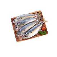 ราคา ปลาทูนำเข้าไซส์ L กก.ละ (75569516)